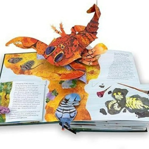sharks pop-up book